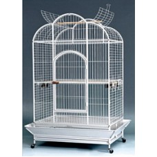 Bird Cage A24