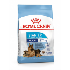 Royal Canin Maxi Starter 4kg 