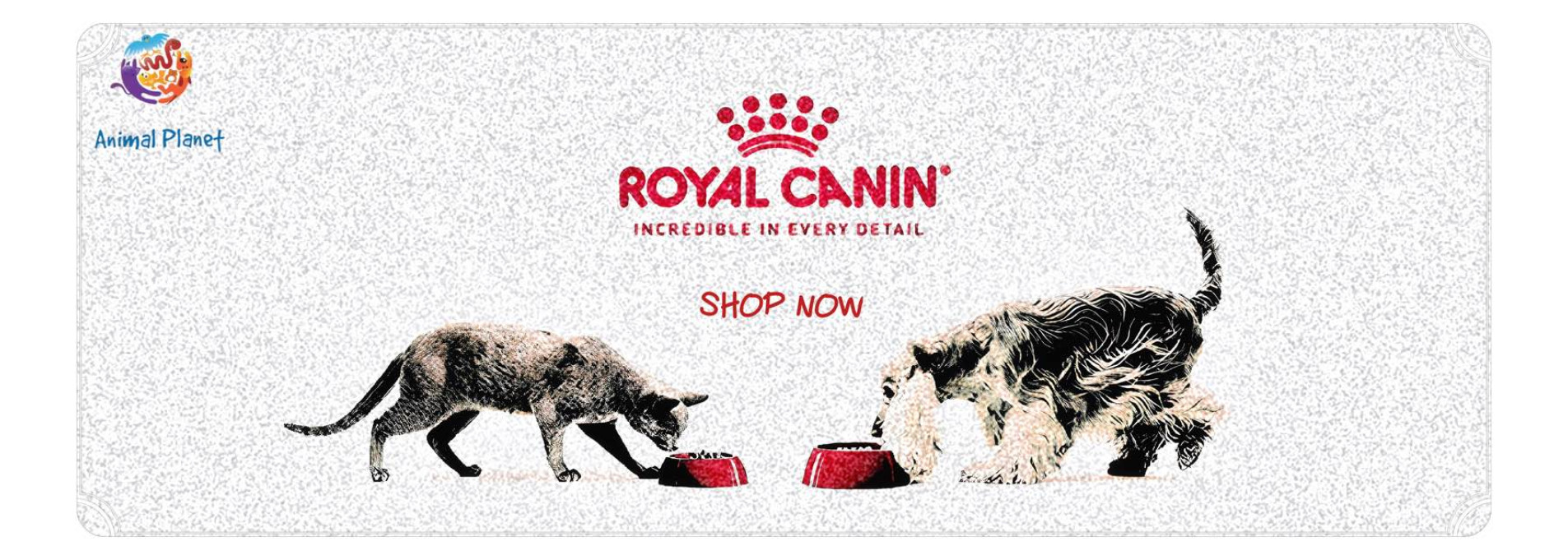 royal canin banner2