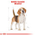 Royal Canin Breed Health Nutrition Beagle Adult 3 KG